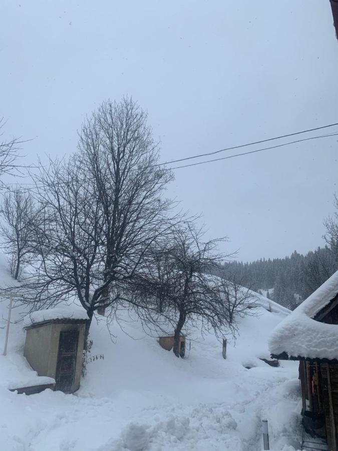 Cottage house Podobovets Buitenkant foto