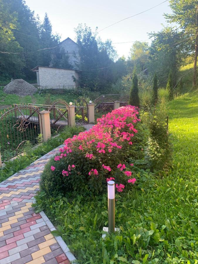 Cottage house Podobovets Buitenkant foto
