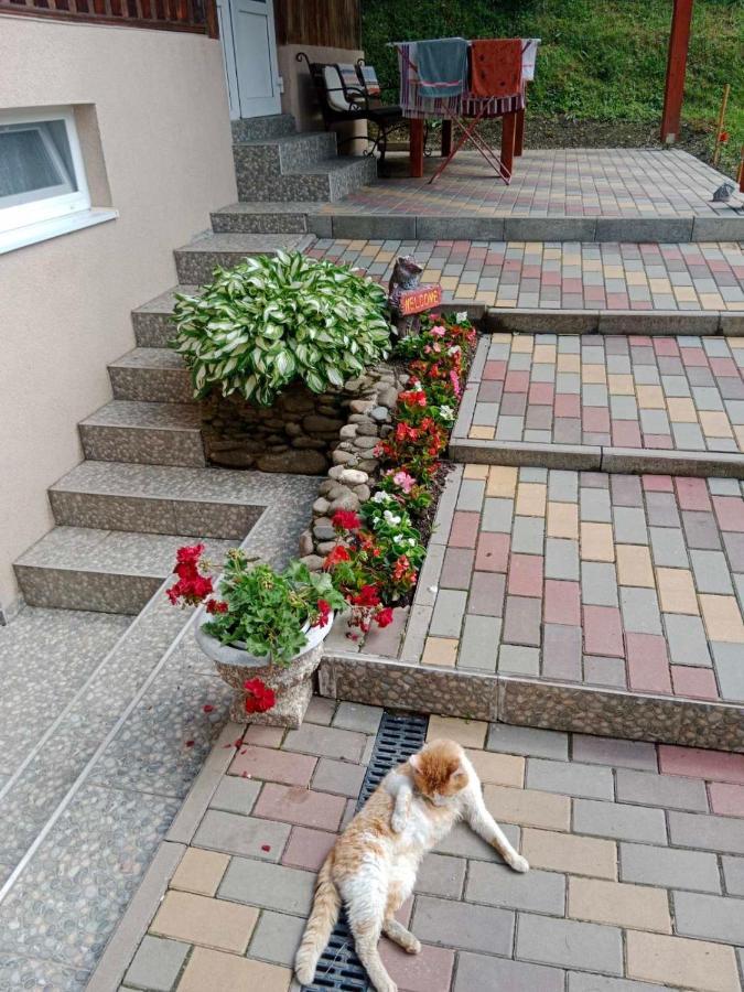 Cottage house Podobovets Buitenkant foto